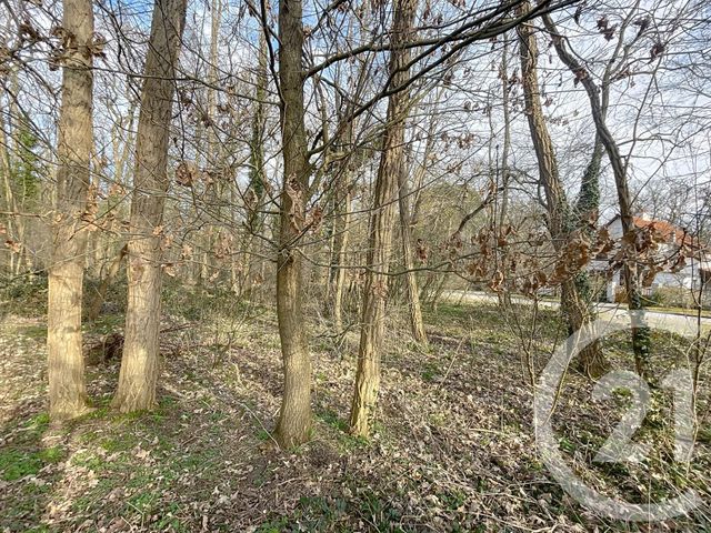 terrain à vendre - 1249.0 m2 - LACROIX ST OUEN - 60 - PICARDIE - Century 21 Infinity