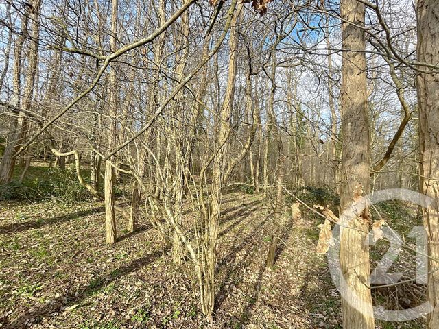 terrain à vendre - 1249.0 m2 - LACROIX ST OUEN - 60 - PICARDIE - Century 21 Infinity